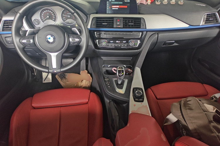 BMW 3 Series 2019 car image #10