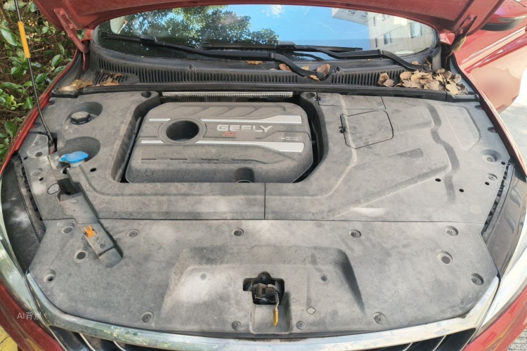 GEELY Binray 2019 #22 GEELY Binray 2019 immagine di auto #22