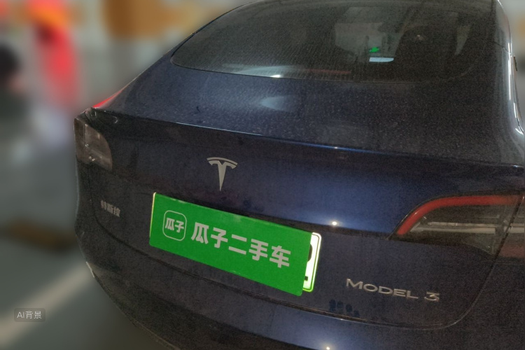 Tesla Model 3 2021 car image #6