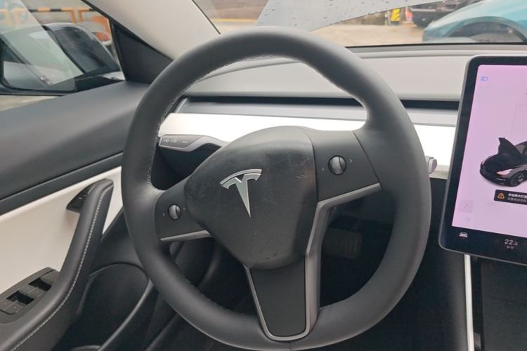 Tesla Model 3 2020 car image #11