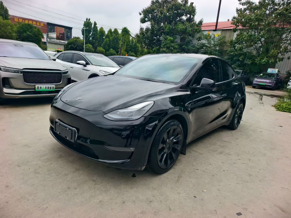 Tesla Model Y 2021 Tesla Model Y 2021 car image
