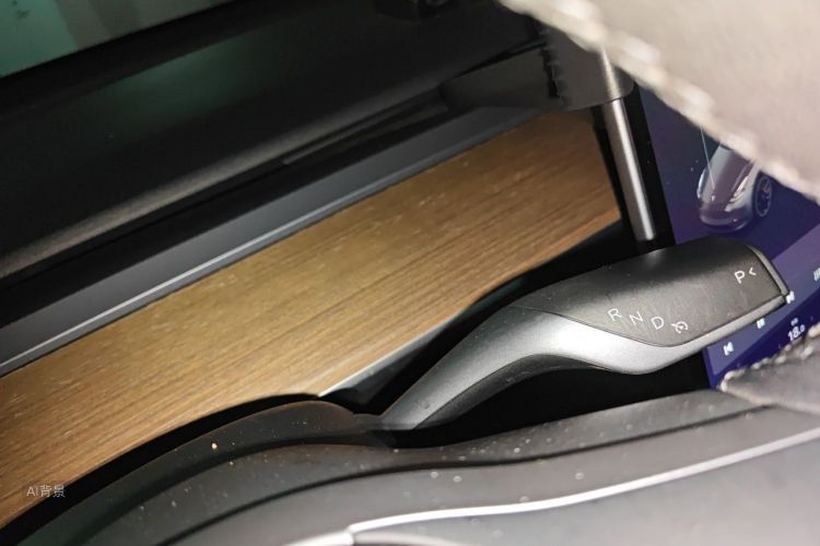 Tesla Model Y 2021 car image #16