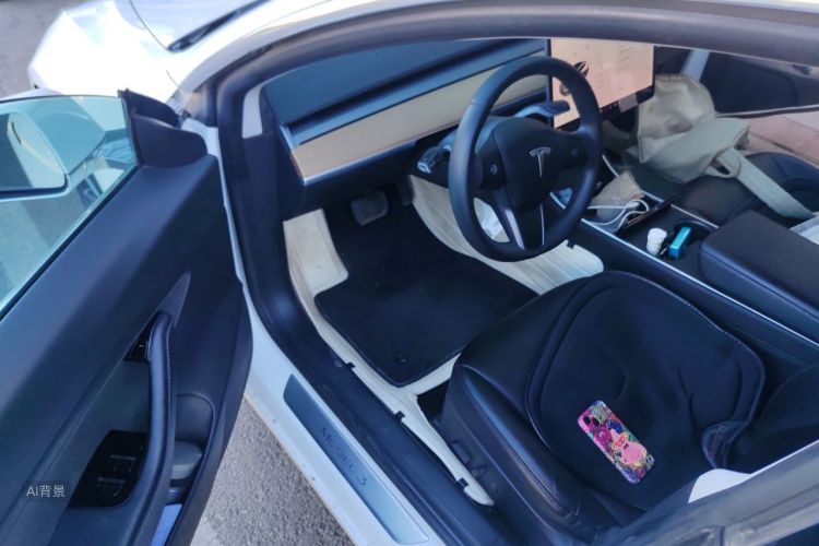 Tesla Model 3 2020 car image #18