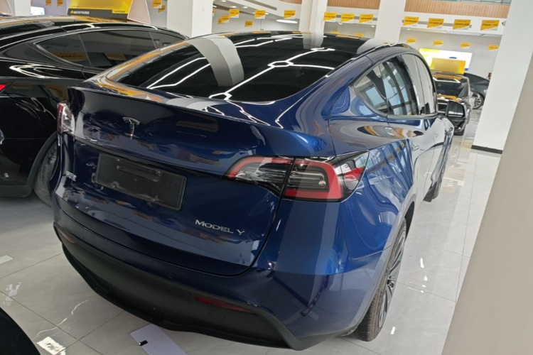 Tesla Model Y 2021 car image #7