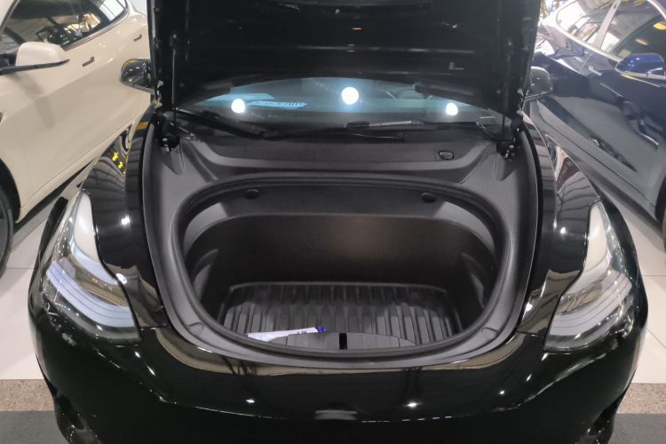 Tesla Model 3 2021 #20 Tesla Model 3 2021 car image #20