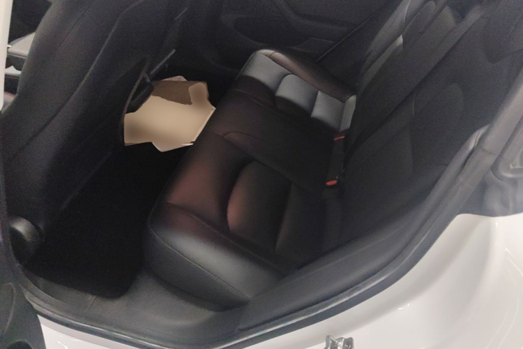 Tesla Model 3 2021 immagine di auto #17