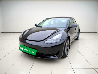 Tesla Model 3 2023 Tesla Model 3 2023 car image