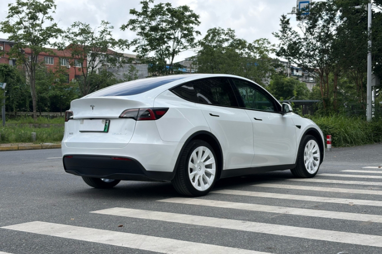 Tesla Model Y 2024 car image #5