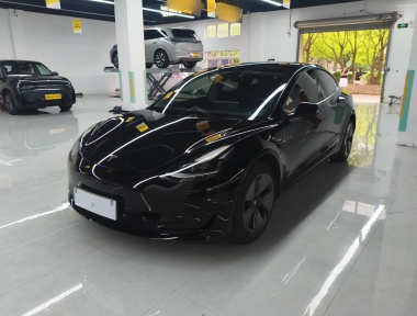 Tesla Model 3 2021 Tesla Model 3 2021 car image