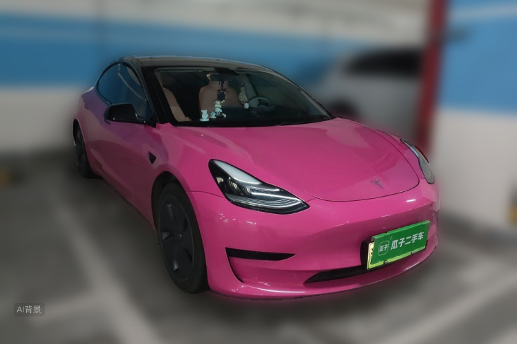 Tesla Model 3 2020 car image #4