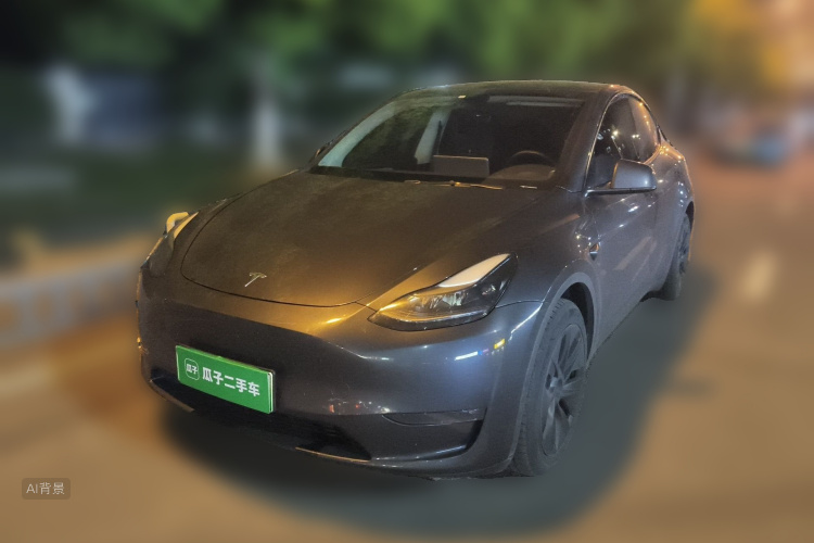 Tesla Model Y 2024 #2 Tesla Model Y 2024 car image #2