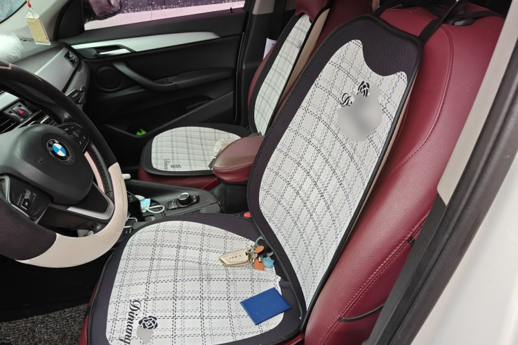 BMW X1 2017 #15 BMW X1 2017 car image #15