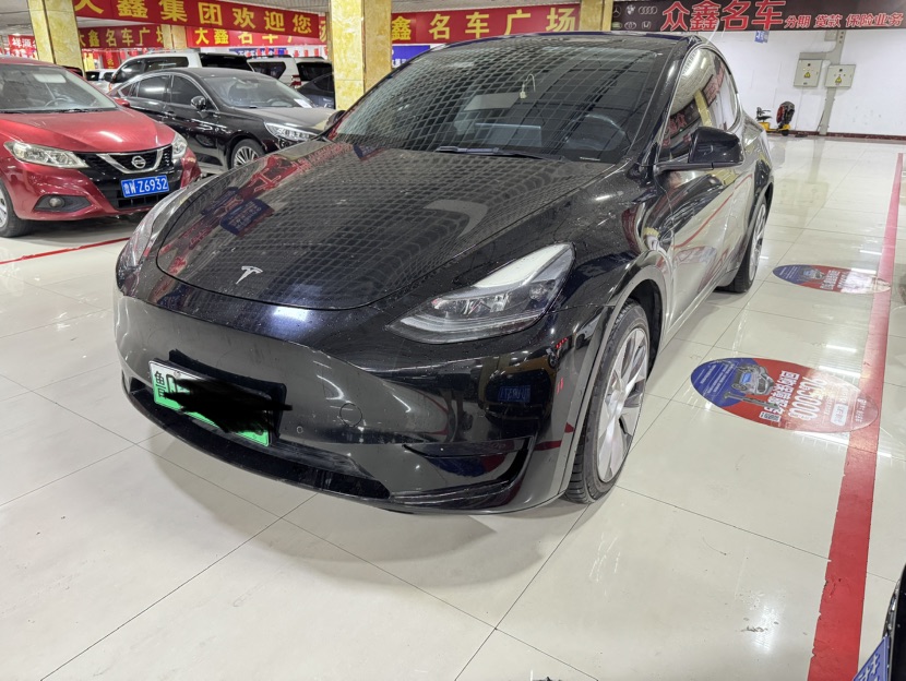 Tesla Model Y 2022 car image 