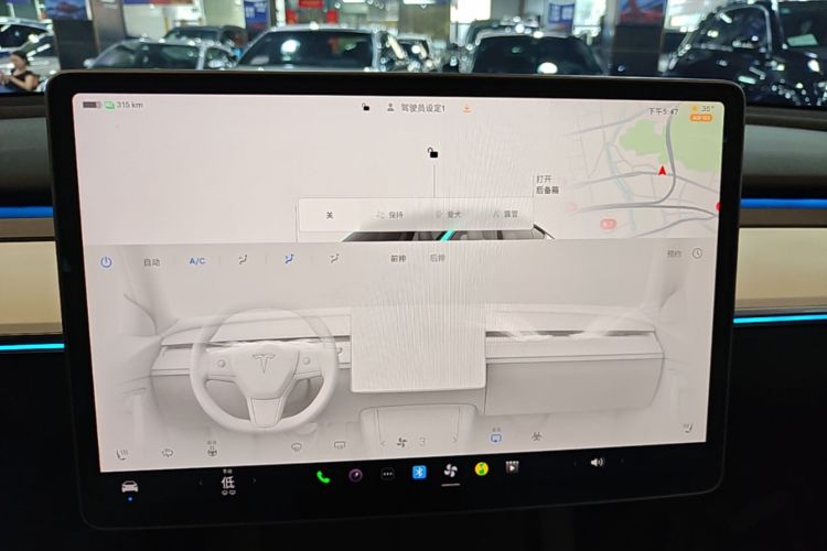 Tesla Model Y 2023 car image #13
