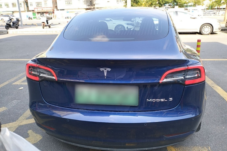 Tesla Model 3 2020 #6 Tesla Model 3 2020 car image #6