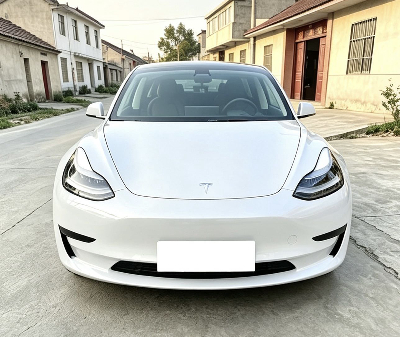 Tesla Model 3 2020 #2 Tesla Model 3 2020 car image #2