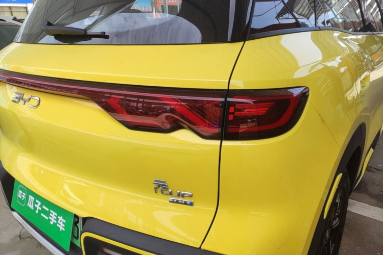 BYD YuanUP 2025 #8 BYD YuanUP 2025 car image #8