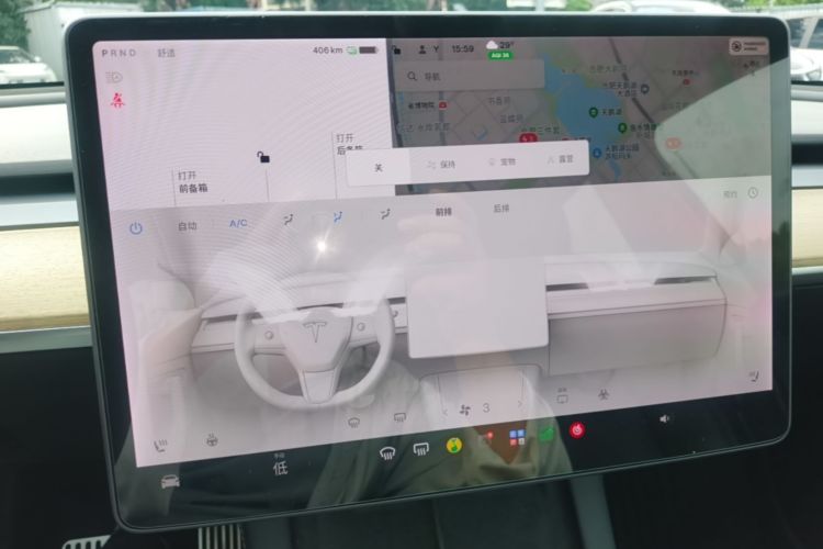 Tesla Model Y 2021 car image #13