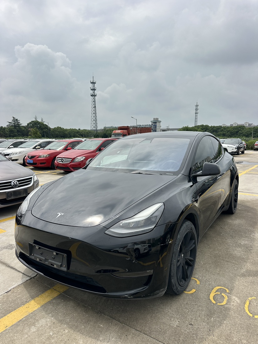 Tesla Model Y 2021 Tesla Model Y 2021 car image