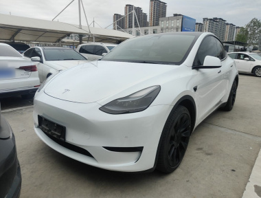 Tesla Model Y 2022 Tesla Model Y 2022 car image