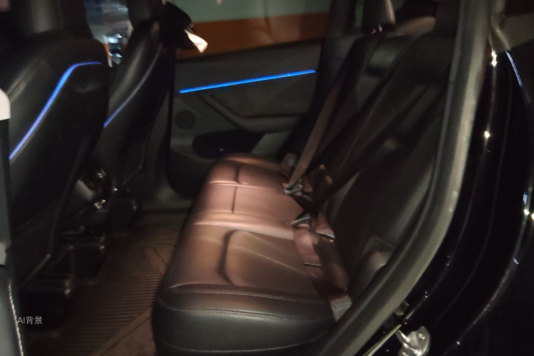 Tesla Model Y 2022 car image #19