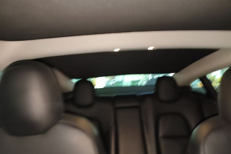 Tesla Model 3 2020 car image #14