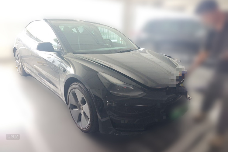 Tesla Model 3 2021 car image #4