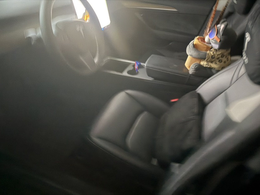 Tesla Model 3 2021 #4 Tesla Model 3 2021 car image #4