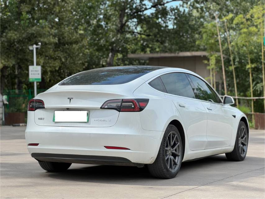 Tesla Model 3 2020 car image #6