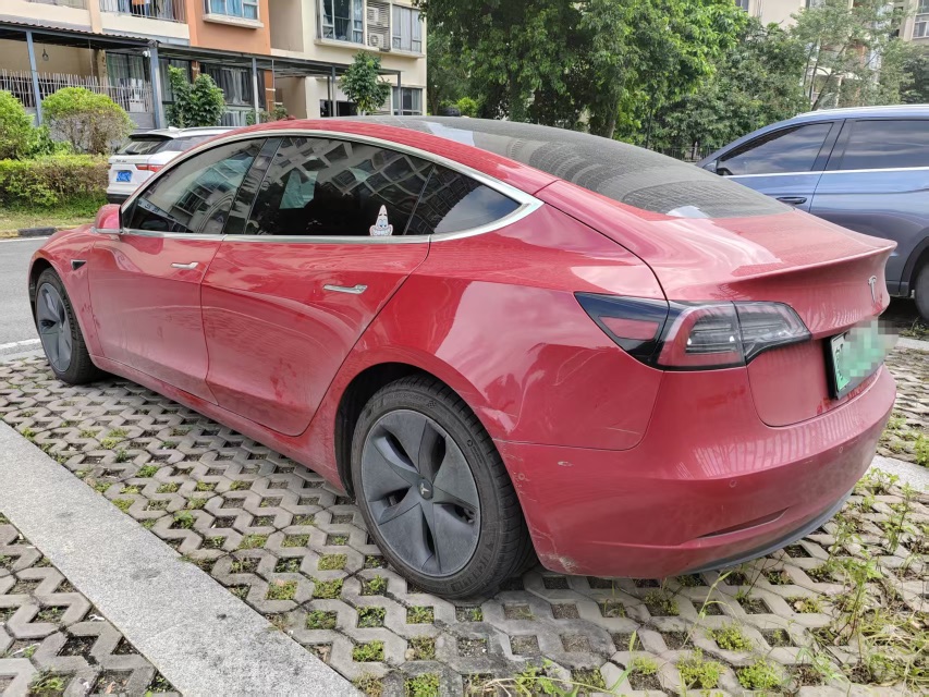 Tesla Model 3 2021 immagine di auto #3