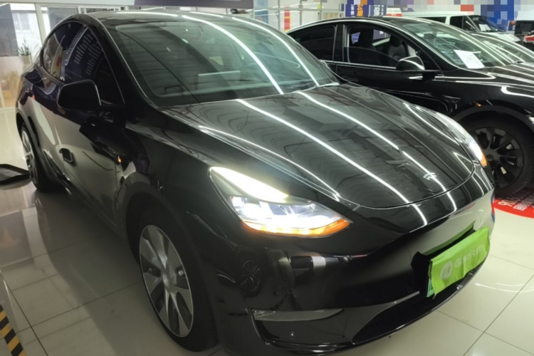 Tesla Model Y 2021 car image #4