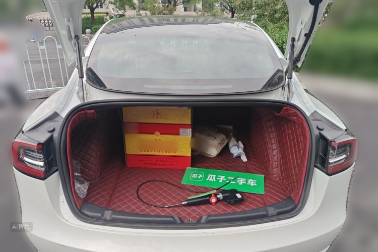 Tesla Model 3 2020 car image #21