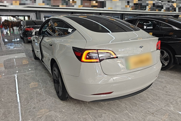Tesla Model 3 2021 #5 Tesla Model 3 2021 car image #5