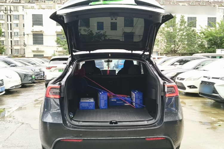 Tesla Model Y 2024 car image #21