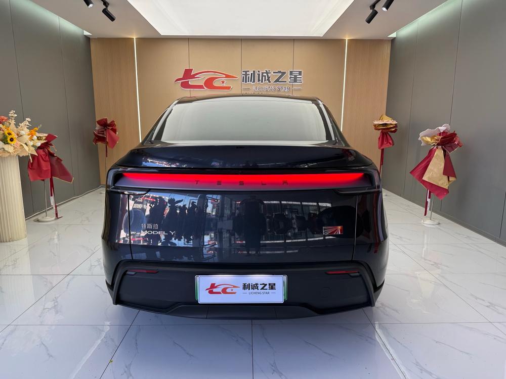 Tesla Model Y 2025 car image #5