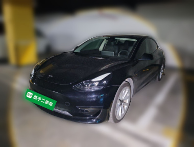 Tesla Model 3 2021 Tesla Model 3 2021 car image