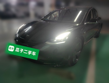 Tesla Model 3 2020 Tesla Model 3 2020 car image