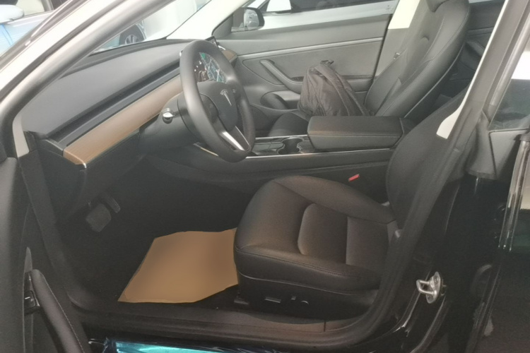Tesla Model 3 2020 car image #15