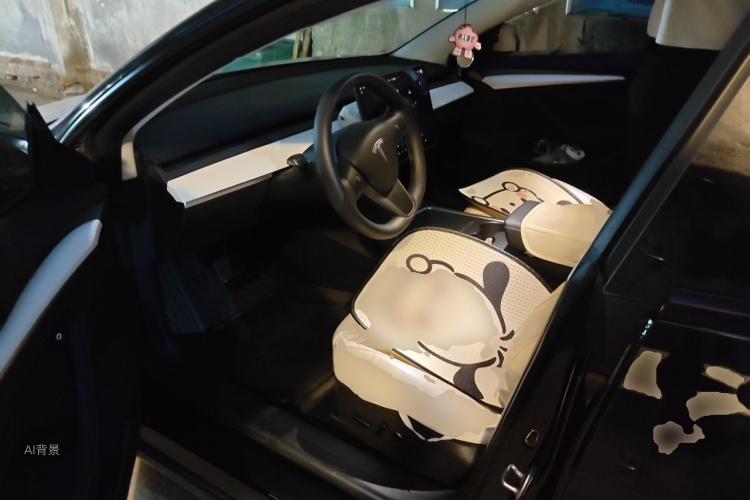 Tesla Model 3 2022 car image #18