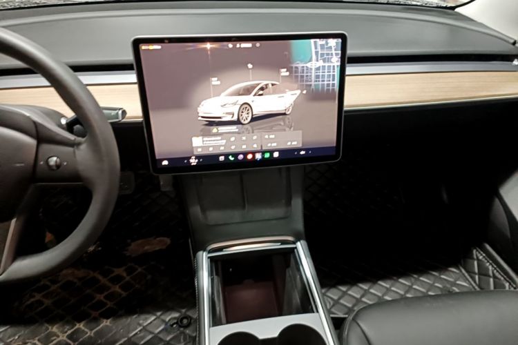 Tesla Model 3 2023 car image #15
