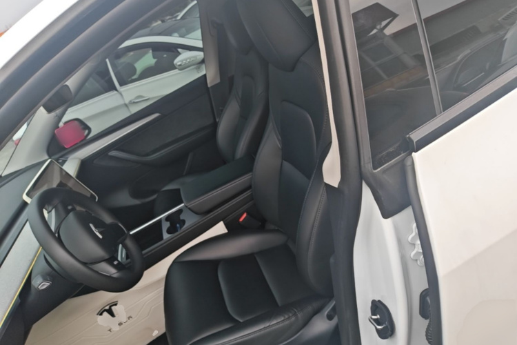 Tesla Model Y 2024 car image #15