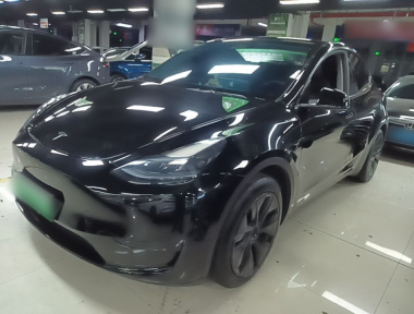 Tesla Model Y 2023 Tesla Model Y 2023 car image