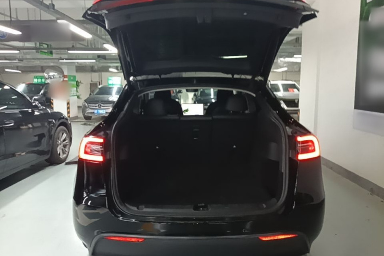 Tesla Model Y 2021 #19 Tesla Model Y 2021 car image #19