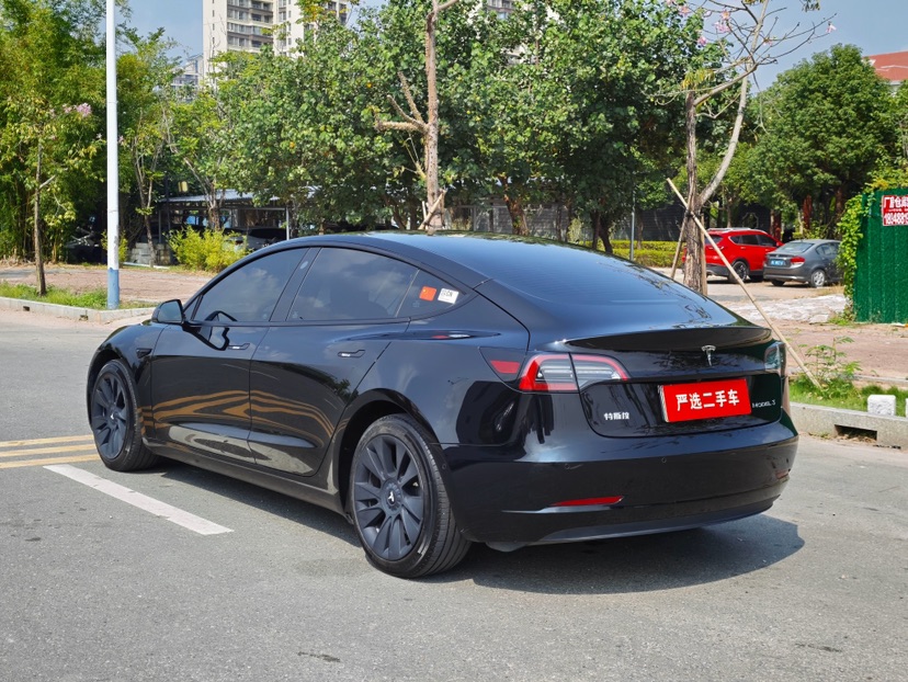 Tesla Model 3 2023 car image #4