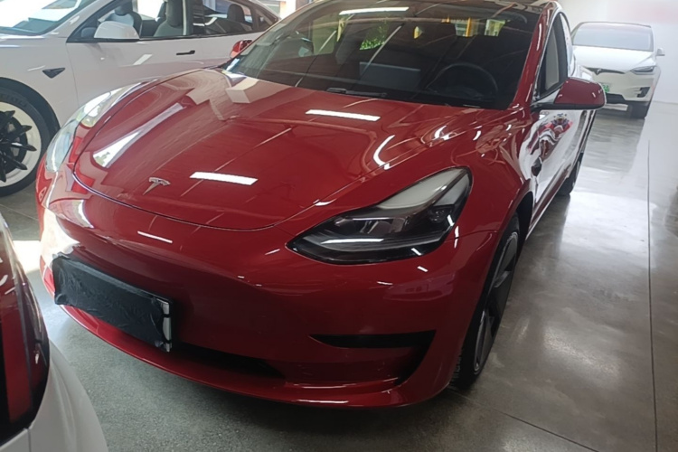 Tesla Model 3 2021 #3 Tesla Model 3 2021 car image #3