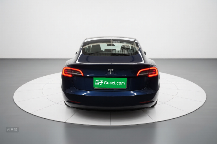 Tesla Model 3 2020 car image #6