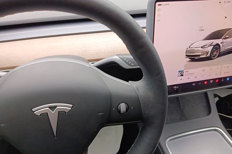 Tesla Model 3 2021 #23 Tesla Model 3 2021 car image #23