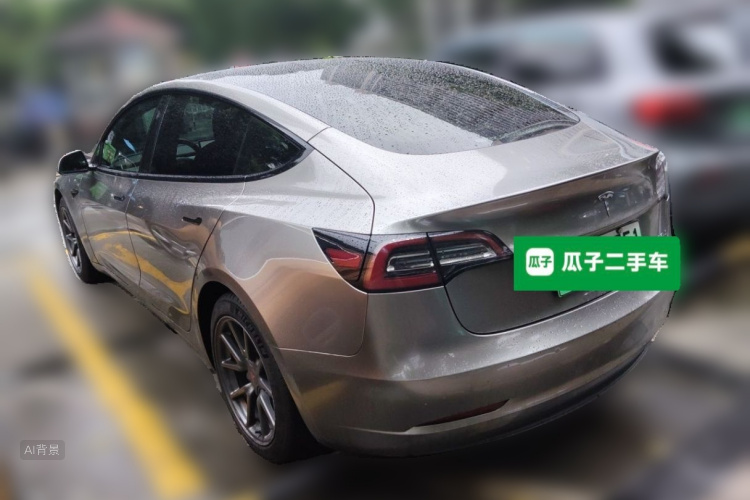 Tesla Model 3 2020 car image #5
