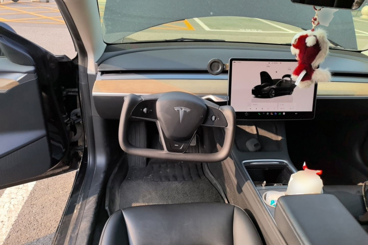 Tesla Model 3 2022 #11 Tesla Model 3 2022 imagen de coche #11