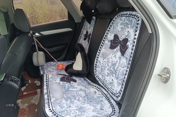 Audi Q3 2018 car image #19